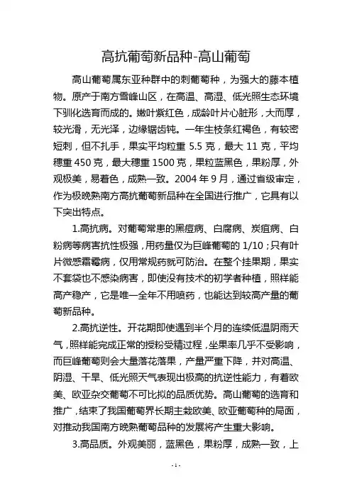 高抗葡萄新品种高山葡萄