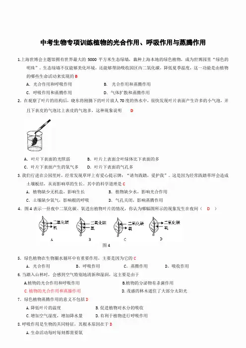 中考生物专项训练--植物的光合作用、呼吸作用与蒸腾作用