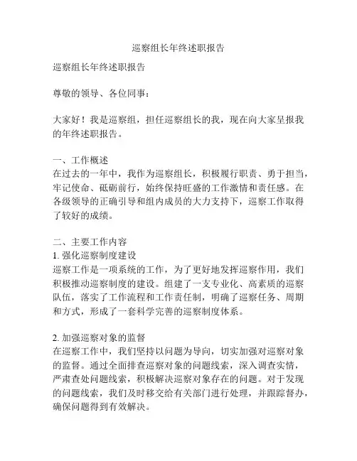 巡察组长年终述职报告