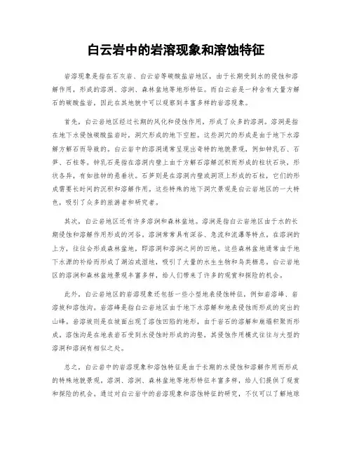 白云岩中的岩溶现象和溶蚀特征