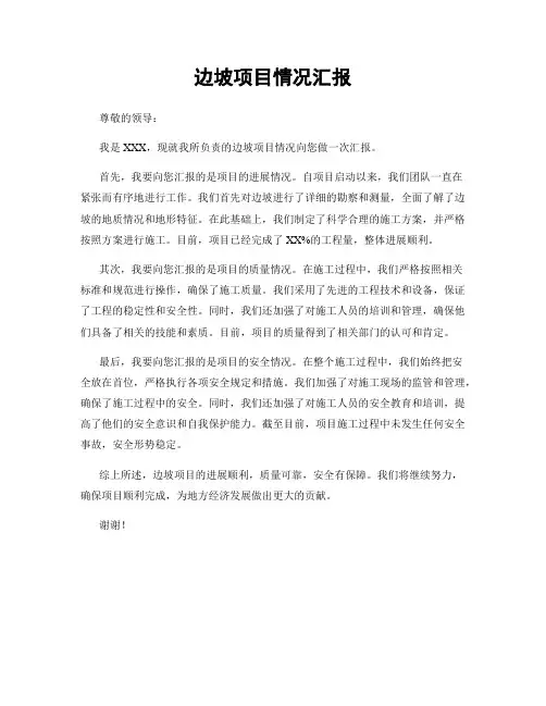 边坡项目情况汇报