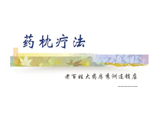 药枕疗法_精品文档