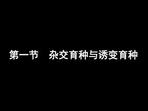 杂交育种与诱变育种.pptPPT