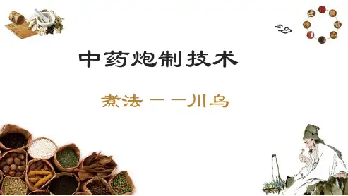 蒸煮燀法—煮法(中药炮制技术课件)