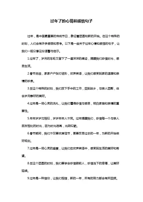 过年了的心情和感悟句子