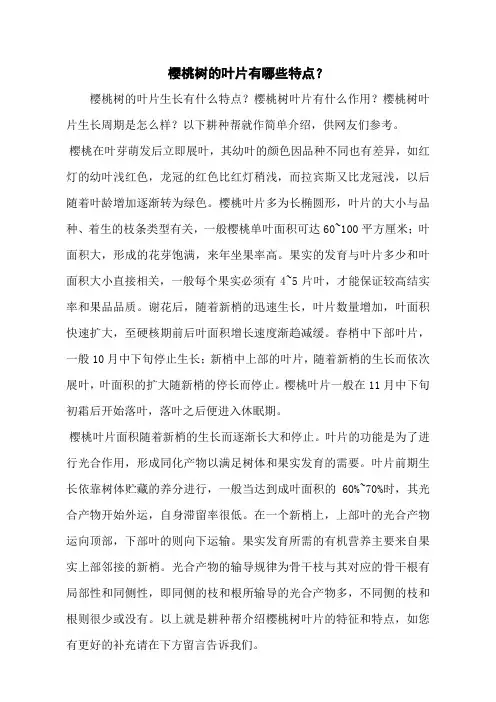 樱桃树的叶片有哪些特点？