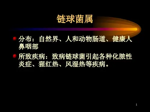 链球菌属 ppt课件