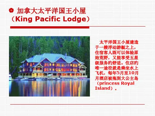 全球十大顶级水上绝美酒店