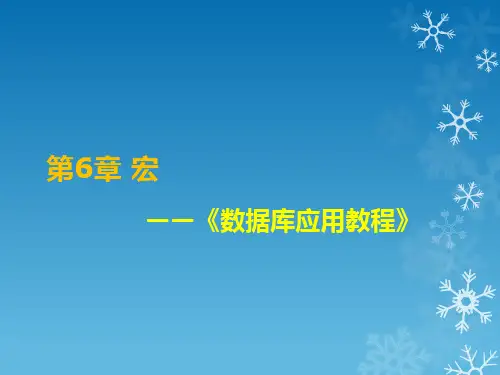 Access数据库应用教程 第6章  宏