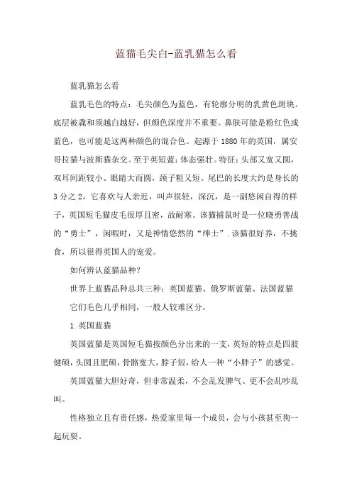蓝猫毛尖白-蓝乳猫怎么看