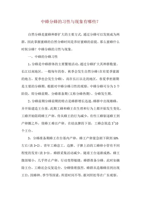 中蜂分蜂的习性与现象有哪些？