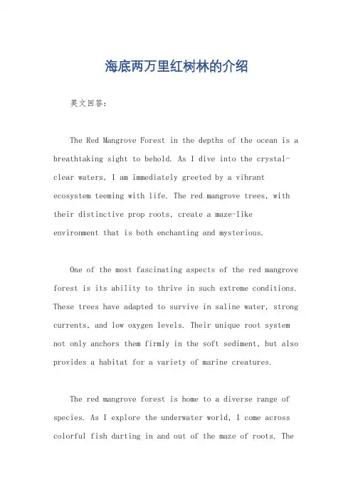 海底两万里红树林的介绍