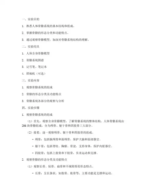 观察骨骼模型实验报告