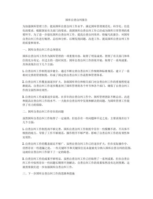 国库自查自纠报告