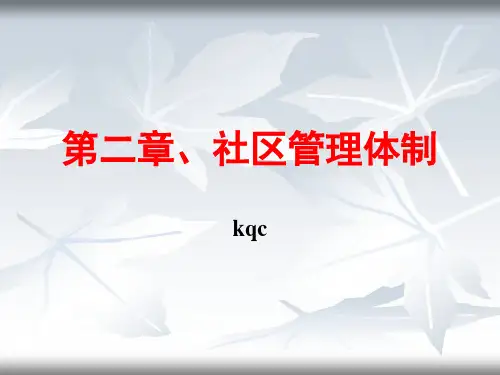 第三章 社区管理体制ppt