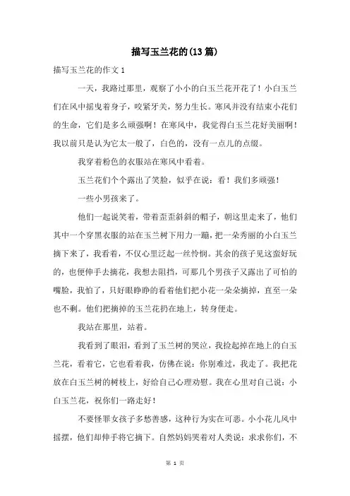 描写玉兰花的(13篇)