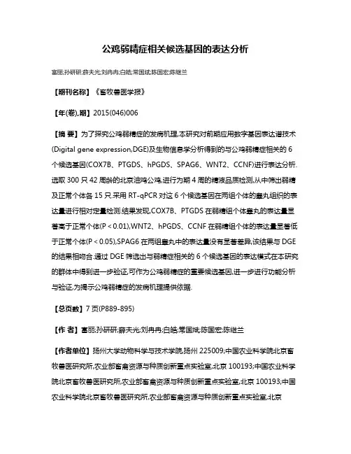 公鸡弱精症相关候选基因的表达分析
