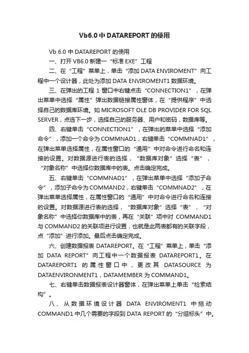 Vb6.0中DATAREPORT的使用