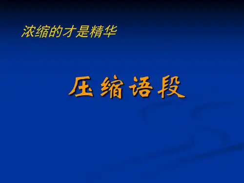 高考复习压缩语段PPT77[优秀课件资料]