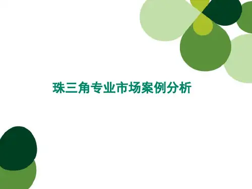 珠三角专业市场案例析报告