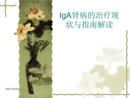IgA肾病指南解读
