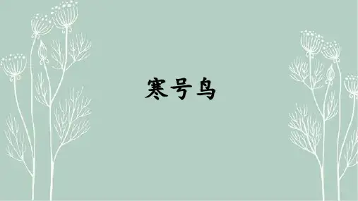 《寒号鸟》ppt课件