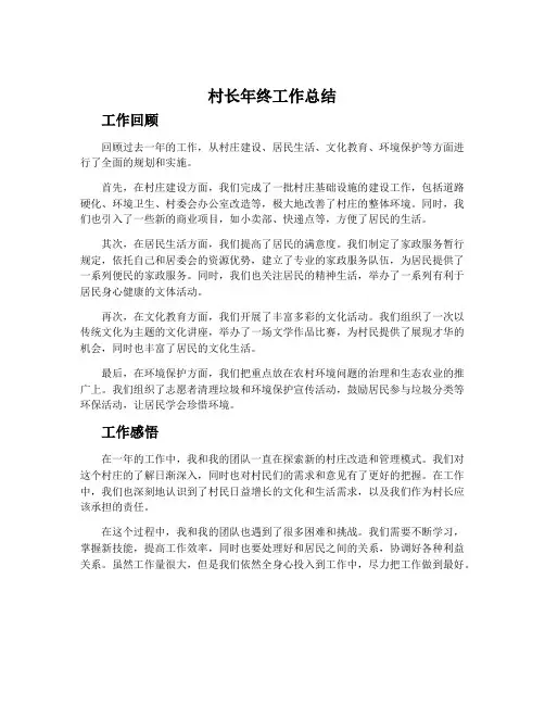 村长年终工作总结