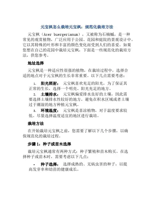 元宝枫怎么栽培元宝枫规范化栽培方法