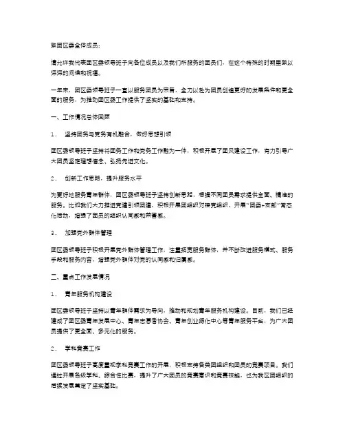 团区委领导班子述职报告