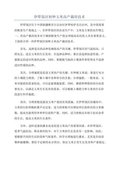 伊犁垦区制种玉米高产栽培技术