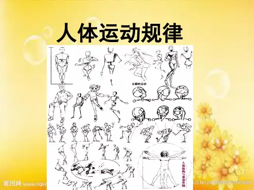 人体运动规律