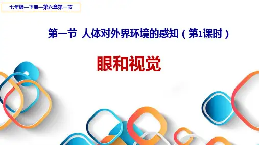 人教版初中生物七年级下册课件-4.6.1 人体对外界环境的感知40