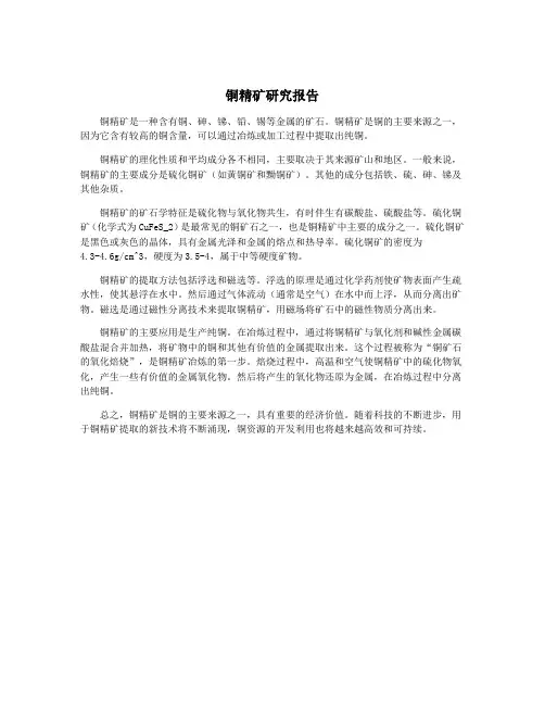 铜精矿研究报告