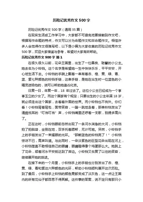 历险记优秀作文500字