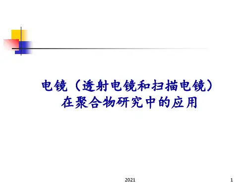 第5篇19电镜(透射电镜和扫描电镜)PPT课件