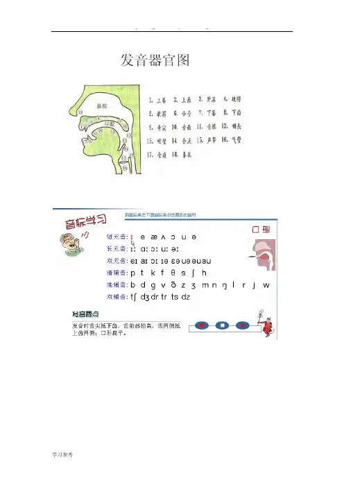 英语国际音标发音口型_舌位一览表