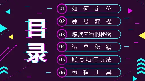 抖音运营方案 详细版