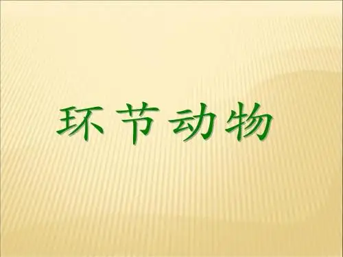 环节动物