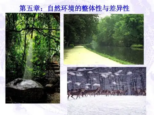 《自然环境的整体性与差异性》