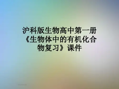 沪科版生物高中第一册《生物体中的有机化合物复习》课件