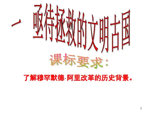 穆罕默德阿里改革内容影响ppt课件