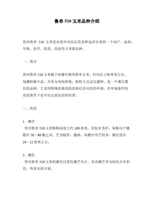 鲁单510玉米品种介绍