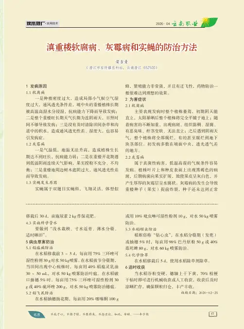 滇重楼软腐病、灰霉病和实蝇的防治方法