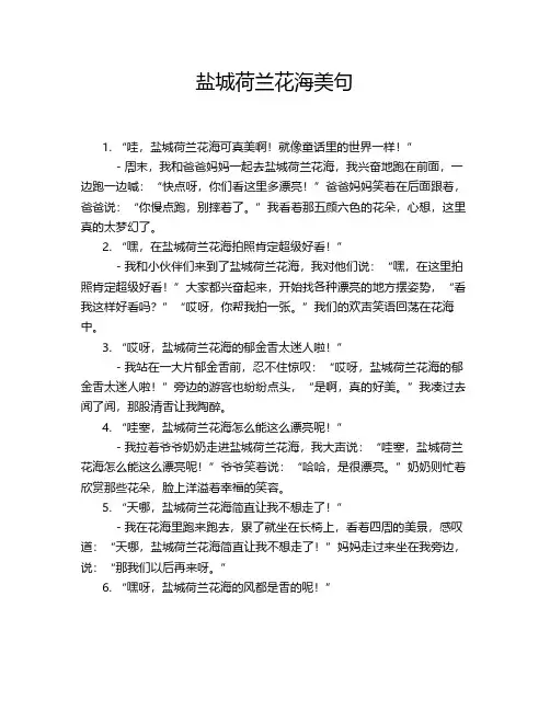 盐城荷兰花海美句