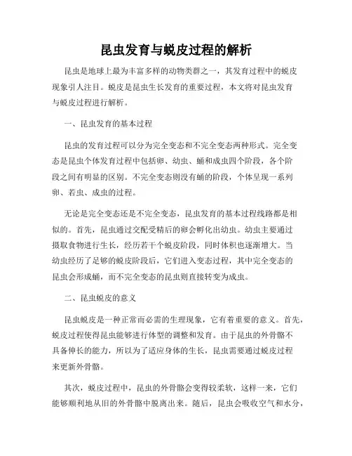 昆虫发育与蜕皮过程的解析