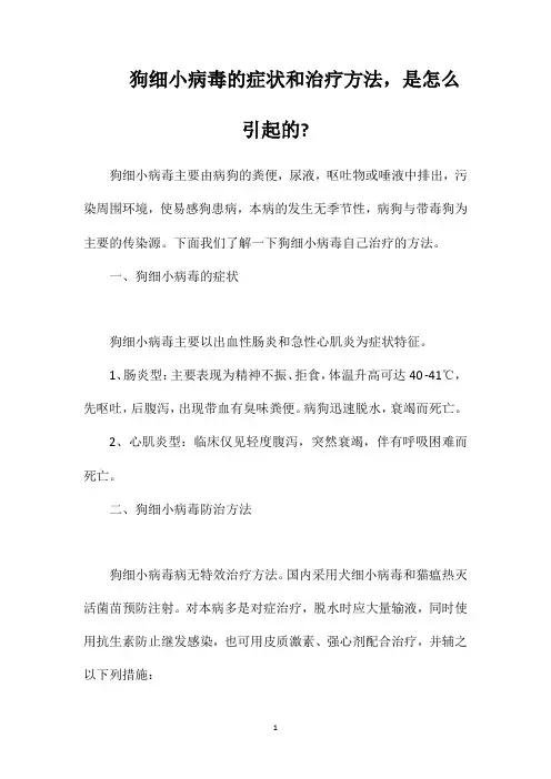 狗细小病毒的症状和治疗方法,是怎么引起的