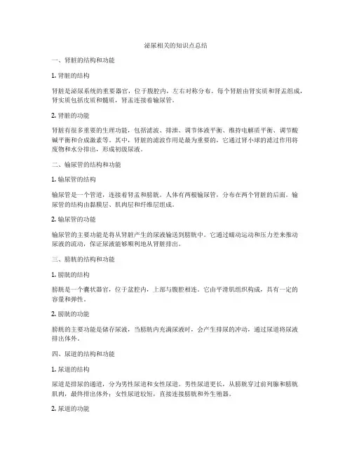 泌尿相关的知识点总结