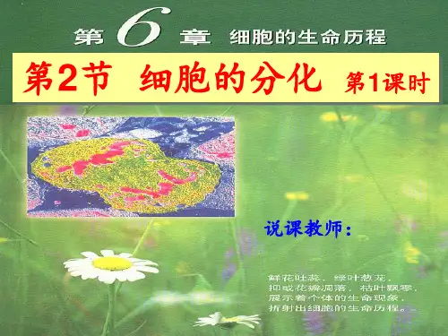细胞的分化说课稿 ppt课件