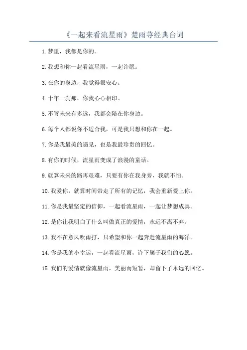 《一起来看流星雨》楚雨荨经典台词
