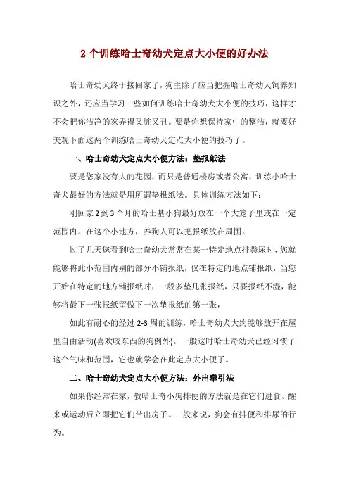 2个训练哈士奇幼犬定点大小便的好办法